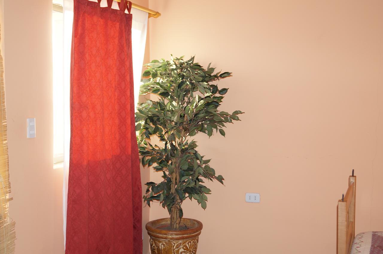 Hostal Intipara San Pedro de Atacama Kültér fotó